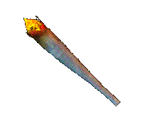 Homepagina